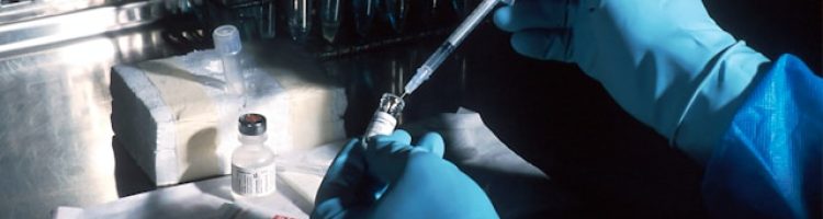 national-cancer-institute-XknuBmnjbKg-unsplash